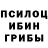 Псилоцибиновые грибы Cubensis hamlo hamlo