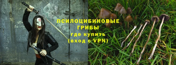 ешки Дмитровск