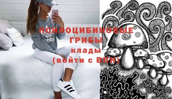 ешки Дмитровск