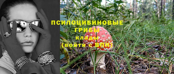 ешки Дмитровск